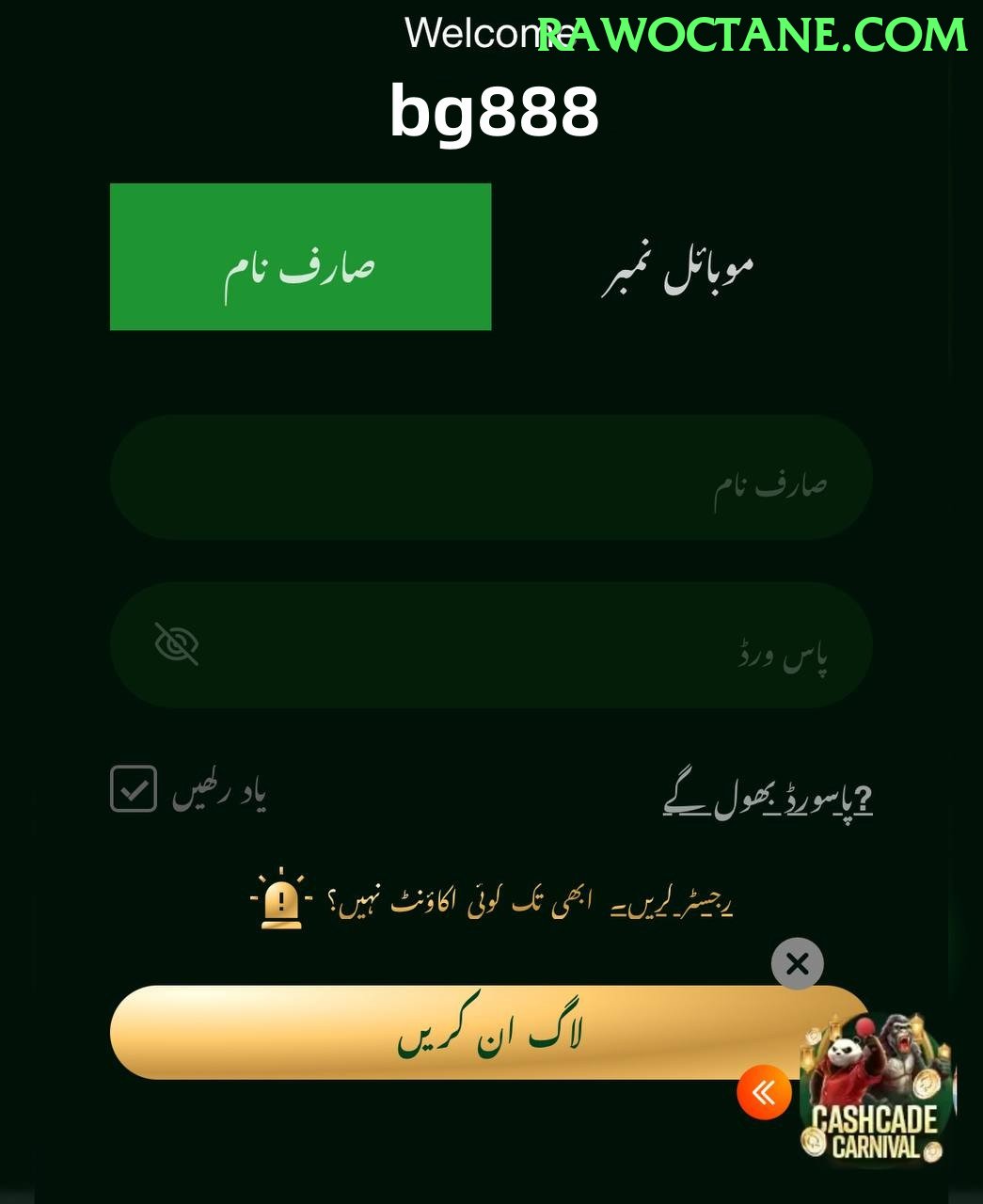 PKLOBO Pakistan